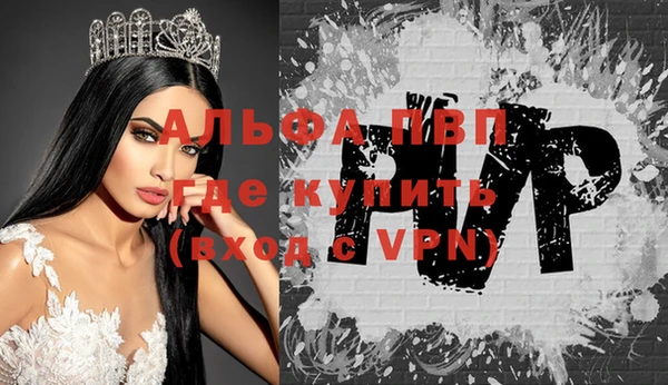 гашик Арсеньев