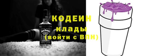 гашик Арсеньев