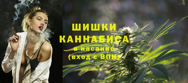 гашик Арсеньев