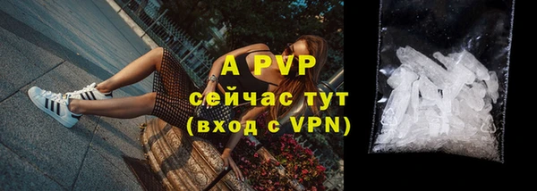 гашик Арсеньев