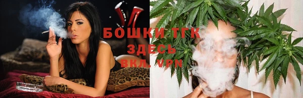 гашик Арсеньев
